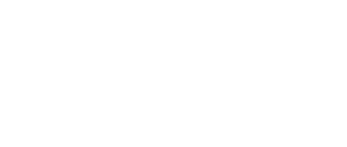 The Good Detective