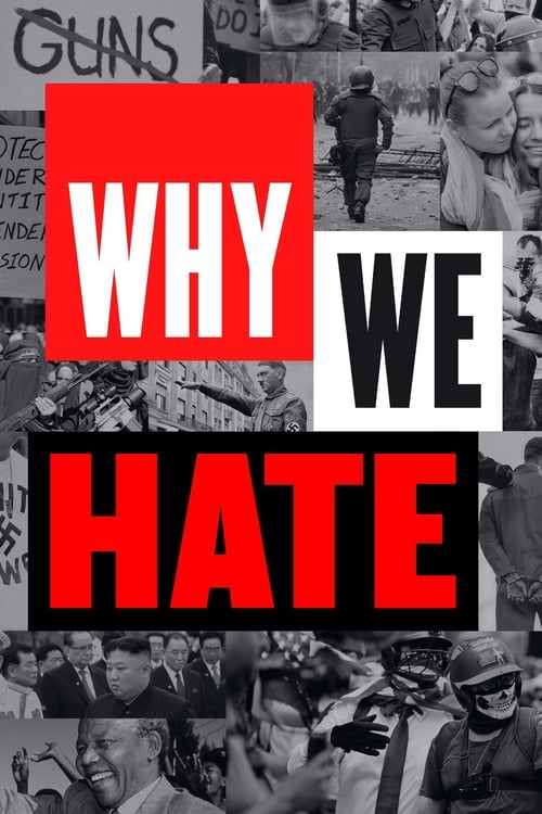 Poster Why We Hate