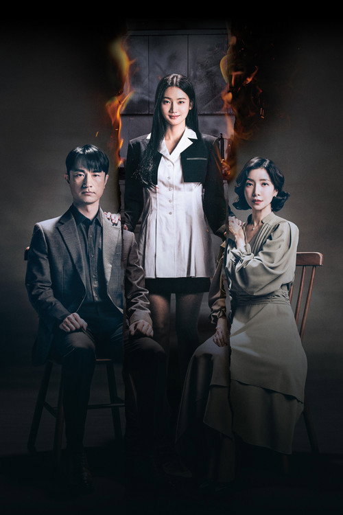 Perfect Family poster