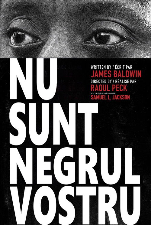 Eu nu sunt negrul tău