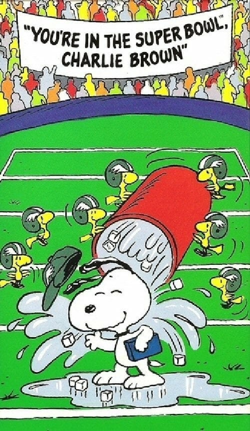 You're in the Super Bowl, Charlie Brown! (1994) poster