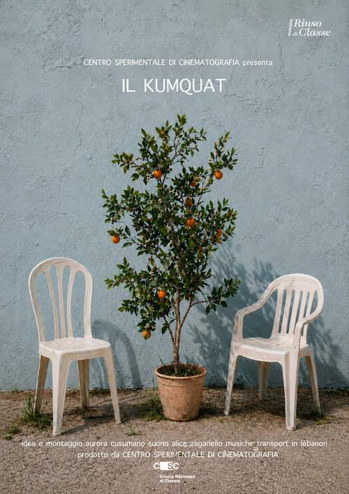 Il Kumquat