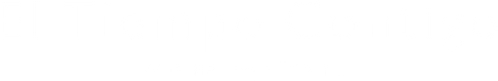 O Tempo com Você - Logo 4