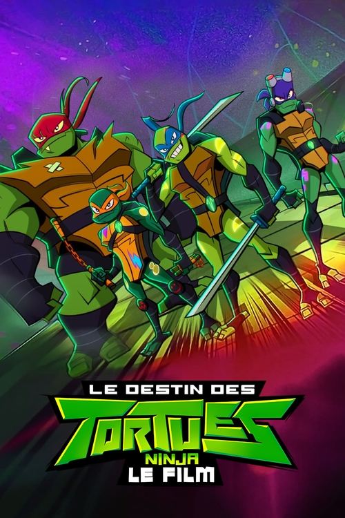 Le Destin des Tortues Ninja : Le film poster