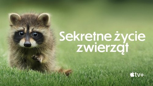 The Secret Lives of Animals