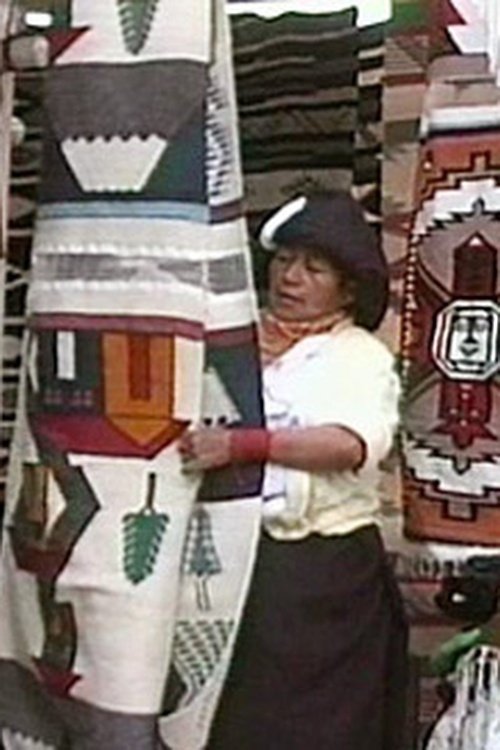 Weaving the Future (1997) poster