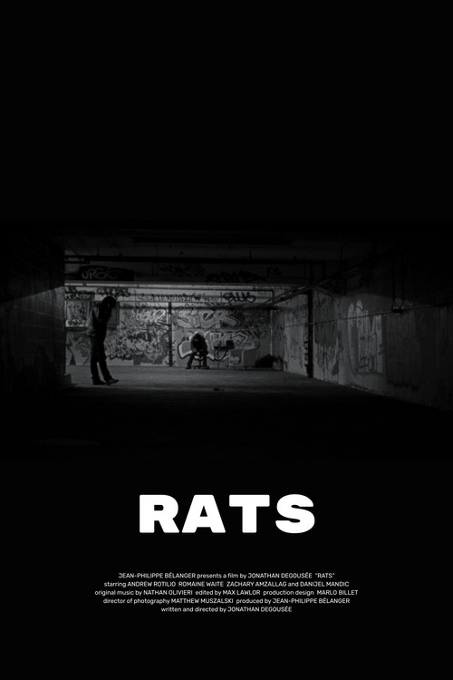 Rats