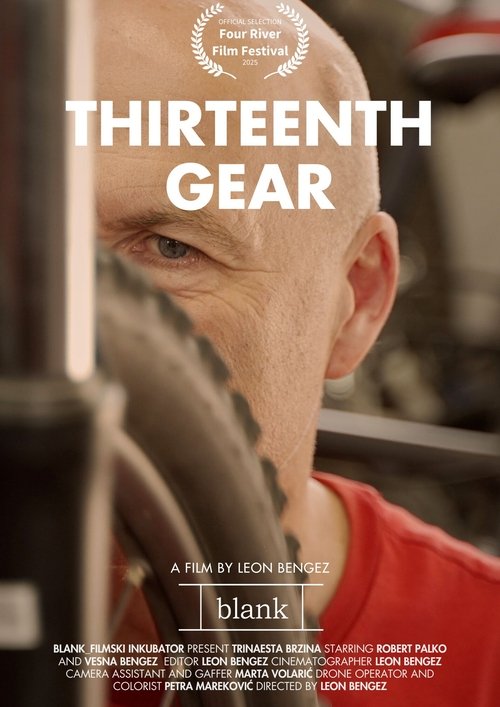 Thirteenth gear poster