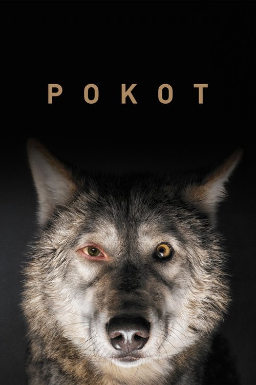 Pokot (2017) poster