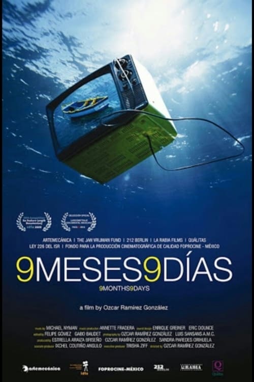 9 meses, 9 días poster