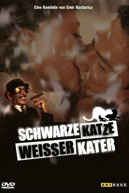 Schwarze Katze Weisser Kater German
