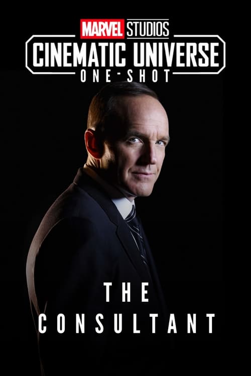 Grootschalige poster van Marvel One-Shot: The Consultant