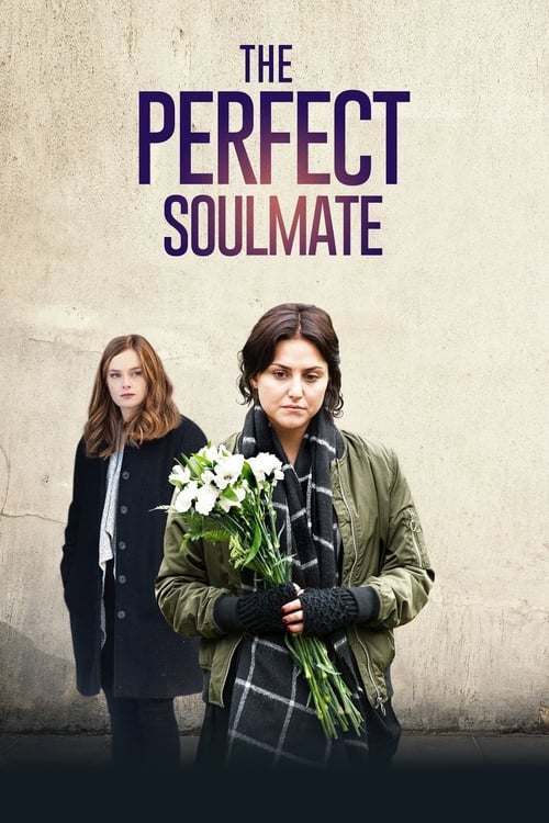 The Perfect Soulmate Movie Poster Image