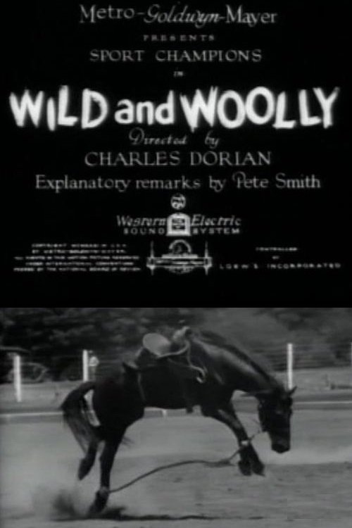 Wild and Woolly