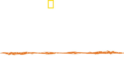 Sobrevivente Primitivo Os Andes