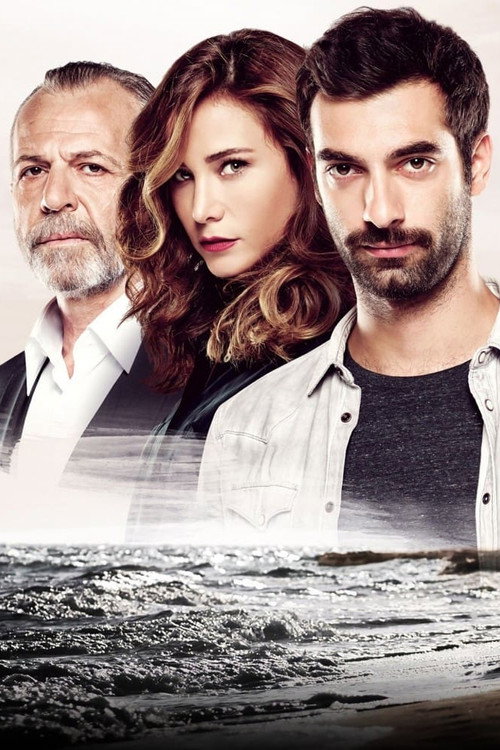 Poyraz Karayel, sezon 1 – plakat
