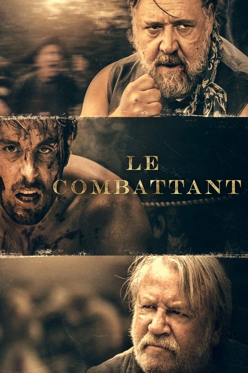 Poster image du film Le Combattant Le Combattant