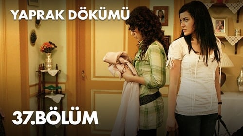 Poster della serie Yaprak Dökümü