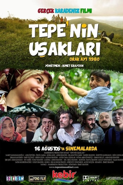 Tepe'nin Uşakları movie poster player