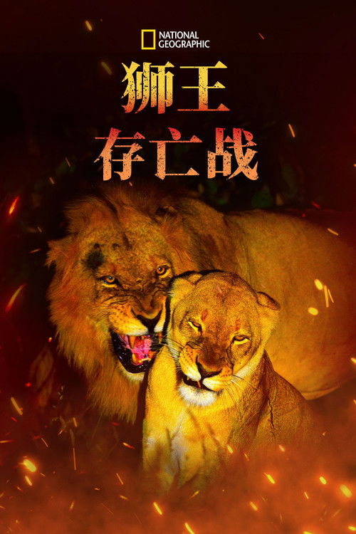 Game of Lions poster