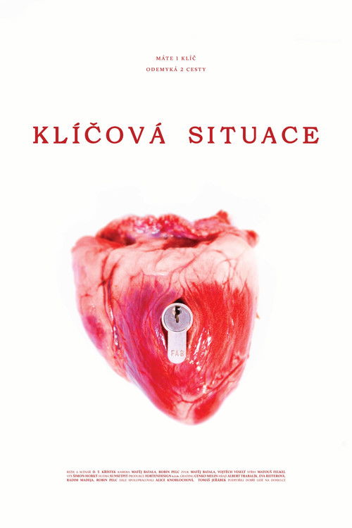 Klíčová situace poster