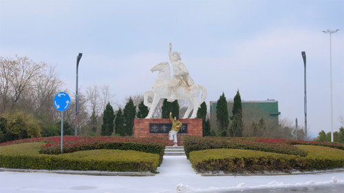 Where Comes Mulan Backdrop Blur