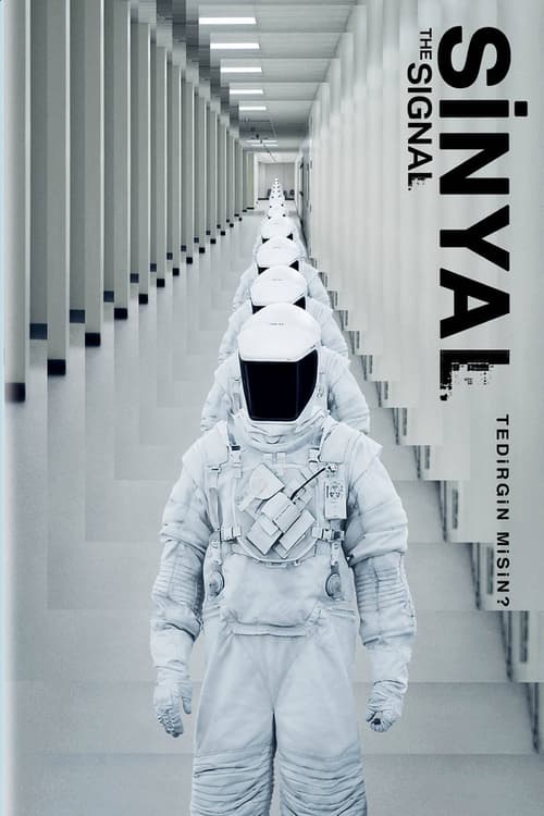 The Signal (2014)