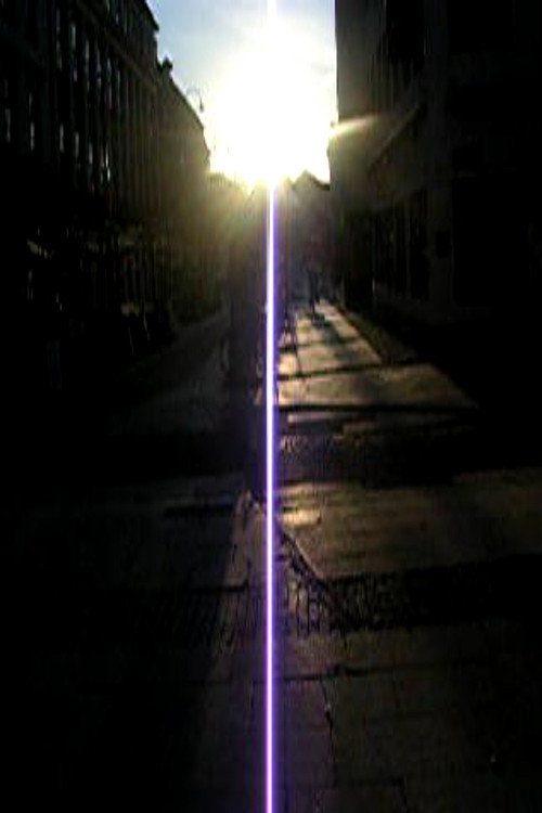 Schillerska & naked trees