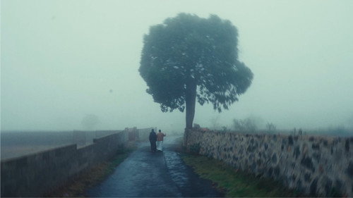 أغسطس still