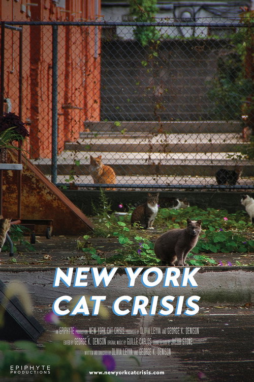 New York Cat Crisis