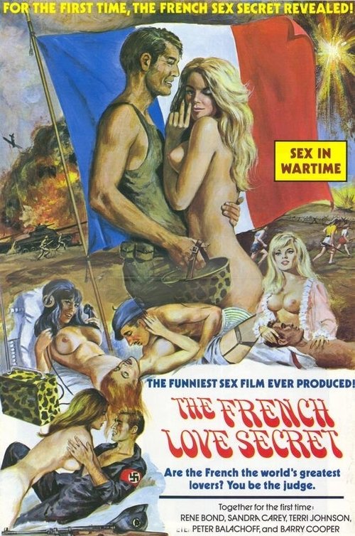 The French Love Secret Movie Poster Image