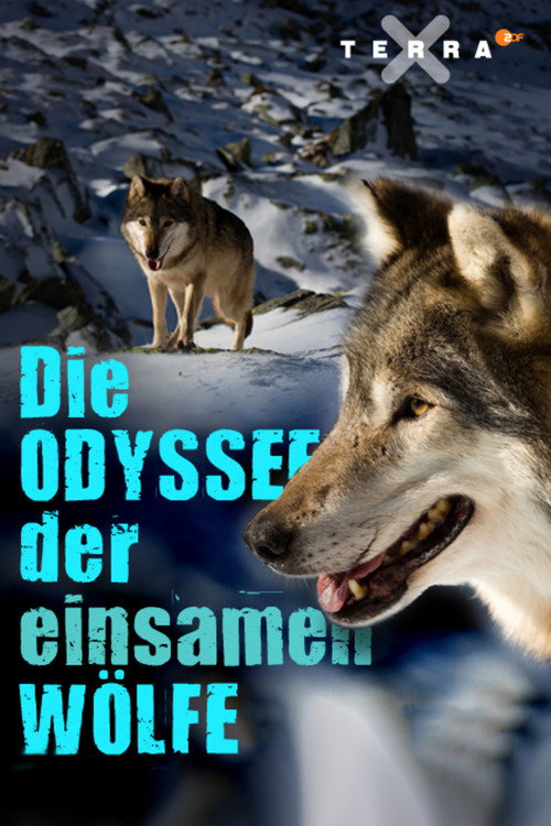 Die tödliche Grenze