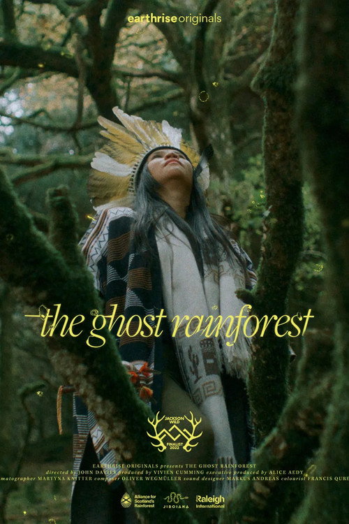 The Ghost Rainforest
