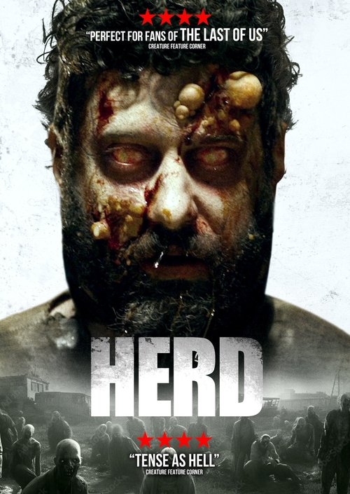 Poster 7