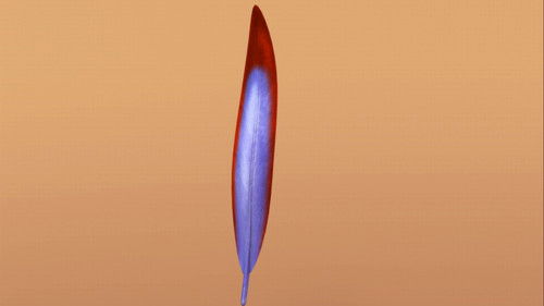 Image de l'épisode Épisode 13