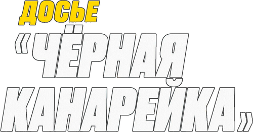Досье «Чёрная канарейка»