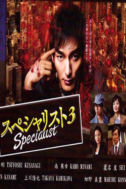 Specialist 3 Movie Poster Image