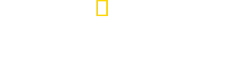 Path of the Panther