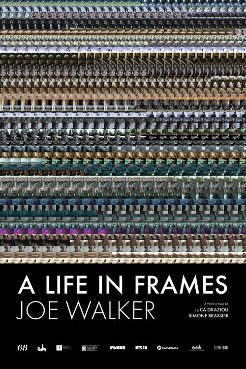 A Life in Frames — Joe Walker poster