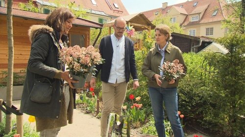 Image de l'épisode 13