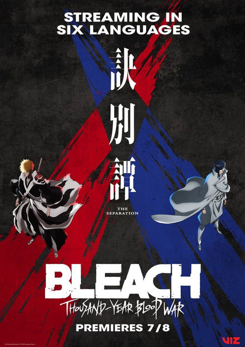 Bleach: Thousand-Year Blood War