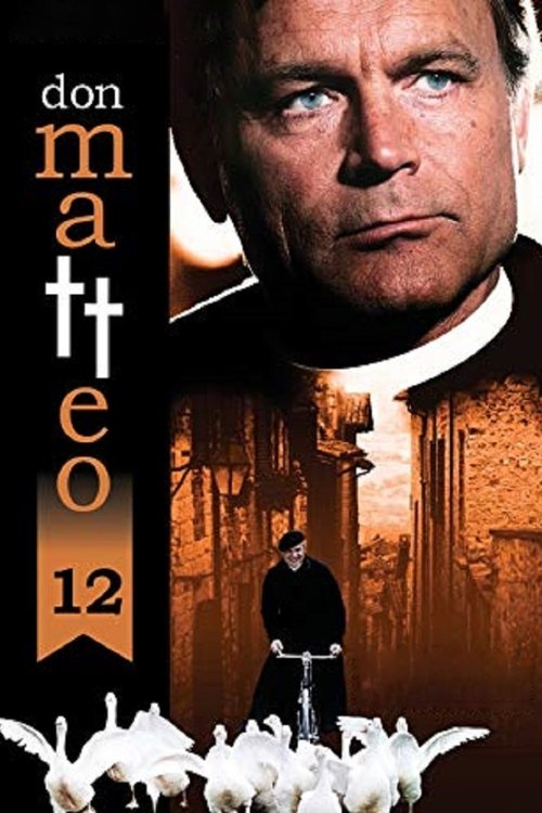 Ver temporada 12 de Don Matteo Póster de la temporada 12 de la serie Don Matteo