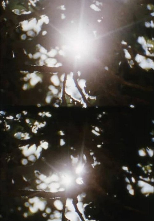 Pastorale d'été still 2