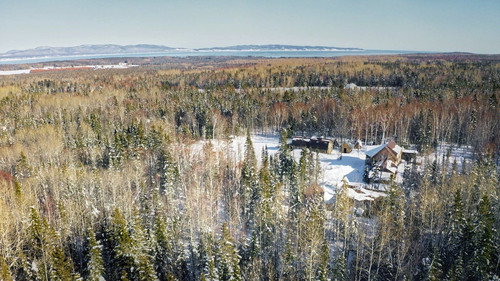 Кадр из Familjen i skogen