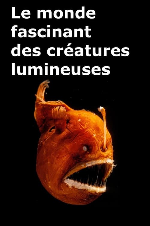 Le monde fascinant des créatures lumineuses 2015