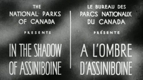 Backdrop