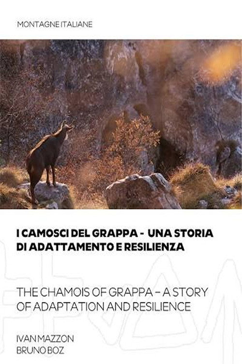 THE CHAMOIS OF GRAPPA - A STORY OF ADAPTATION AND RESILIENCE