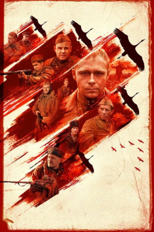Póster oficial de Call Sign «Cranes» (2023) - War & Politics