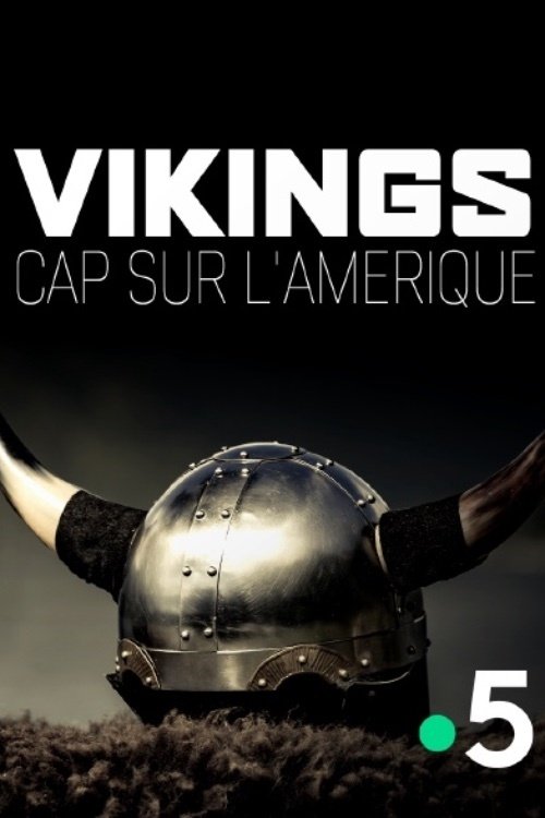 The Vikings Uncovered (2016) poster