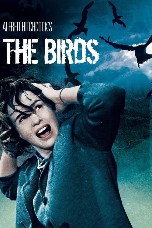 The Birds Movie Poster Image